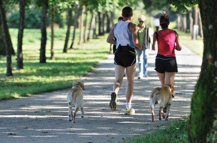 Running with Dogs